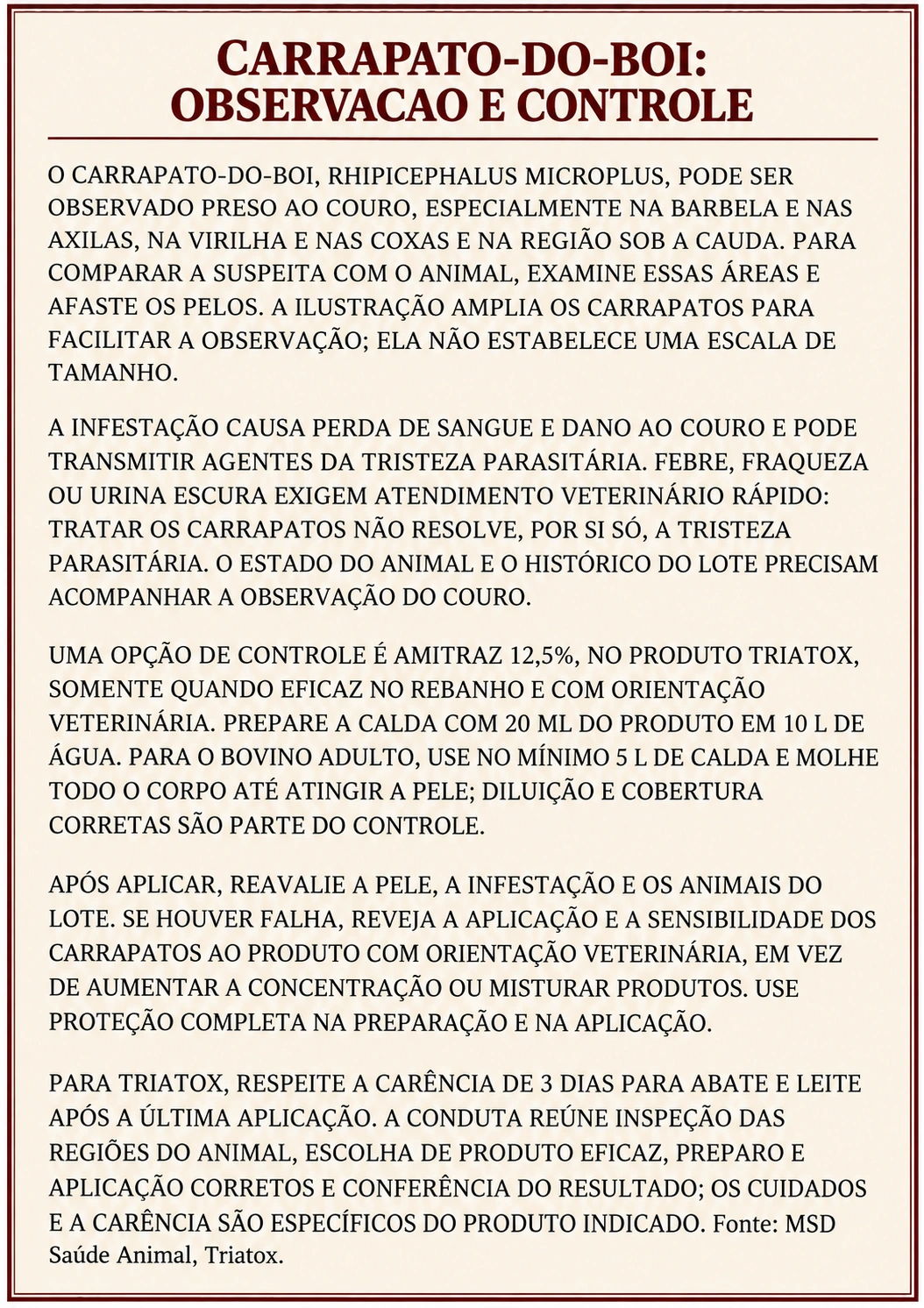 Informações em texto corrido.